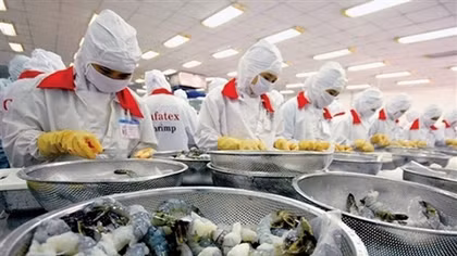 Vietnam becomes fifth largest seafood supplier to Japan
