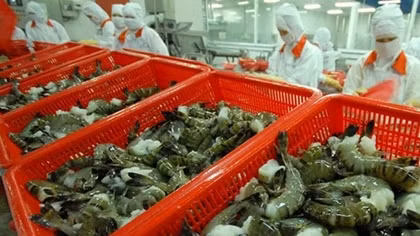 Shrimp exports witness robust growth in FTA markets
