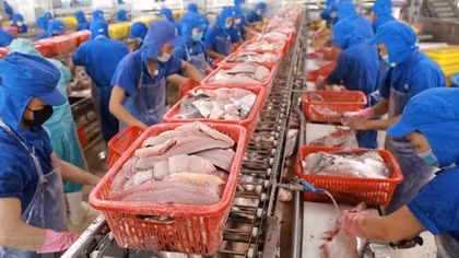 Aquatic product exports drop strongly in first half of August