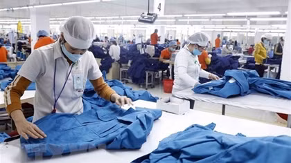 New firms up 70.4% in Q4