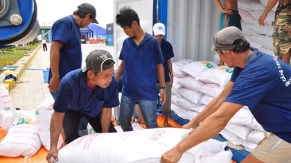 Over 4,880 tonnes of rice aided to COVID-19-hit people in three provinces