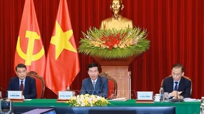 Vietnamese, Lao Party officials hold online talks