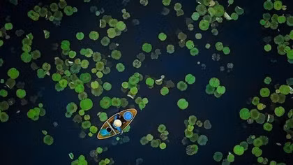 Local photographer receives honourable mention at global photo contest