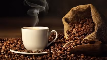 Plenty of room to boost Vietnamese coffee exports to Nordic market