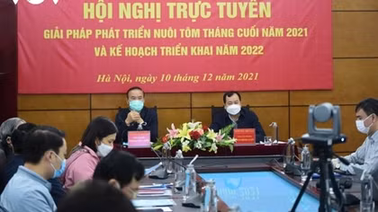 Shrimp exports likely to reach US$3.9 billion this year