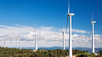 Belgian and Russian investors keen on Vietnamese offshore wind power projects