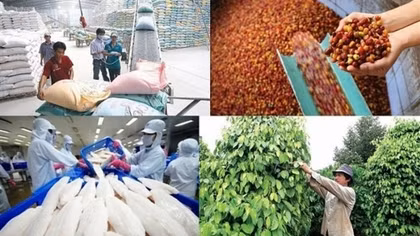 Agro-forestry-fisheries exports hit record high at US$48.6 billion