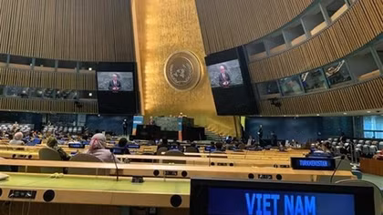Vietnam enjoys rising stature, prestige in global arena
