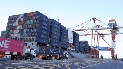 Vietnam a bright spot for UK investors: Ambassador
