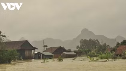 East Sea expects up to eight storms and tropical depressions this year
