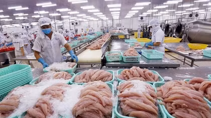 Vietnam seeks to increase pangasius exports to Australia