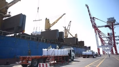 Export activities bustle on first workday after Tet