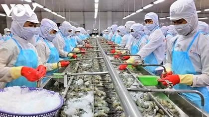 Vietnam represents third largest seafood exporter globally