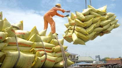 Rice exports to set record turnover of 5 billion USD in 2024