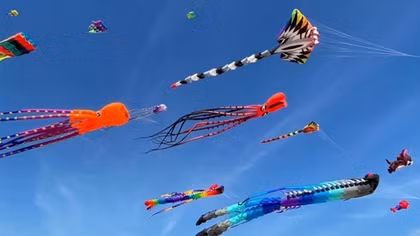 Quang Nam kite international festival 2024 attracts tourists to Hoian
