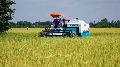 Vietnam, WB look to reduce emissions in rice cultivation