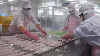 Vietnam's H1 seafood exports hit 4.4 billion USD