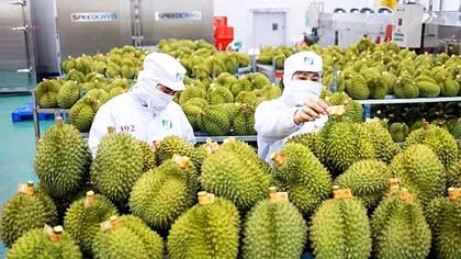 Vietnam's agriculture conquers world markets
