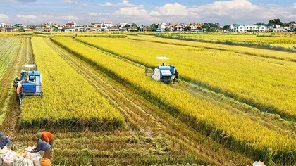 New mindset for Vietnam’s agriculture economy