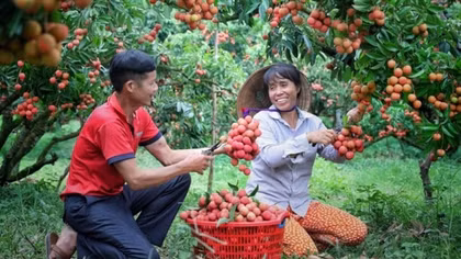 Vietnam promotes exports through e-commerce