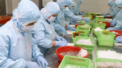 Seafood exports to UK record double-digit growth