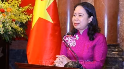Vietnam, Mozambique see great potential for cooperation: Ambassador