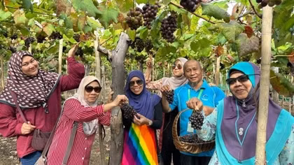 Ninh Thuan to host "Grape - Wine festival" in June