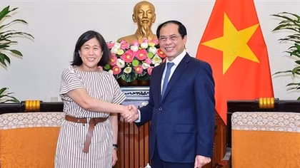 FM Bui Thanh Son hosts US Trade Representative