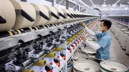 Vietnam's economy to grow by 6.6% this year: OECD