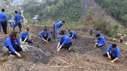 2023 International Youth Day: Training youths in green skills