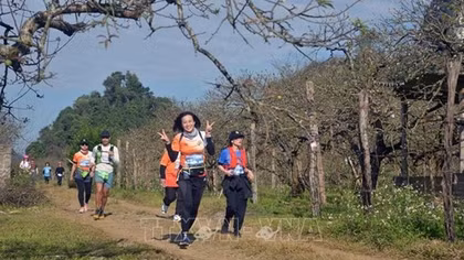 Vietnam Trail Marathon 2023 attracts nearly 3,500 runners