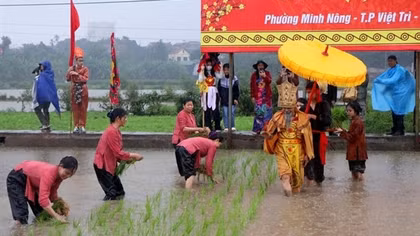 Festival commemorates Hung Kings’ teaching of rice cultivation