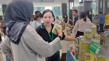 Vietnam's green startups shows bright spots