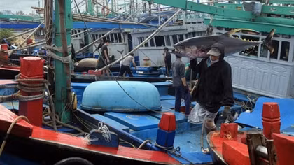 Measures applied to strengthen management of fishing activities in Vietnam