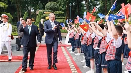 Australian expert hails Vietnam's bamboo diplomacy