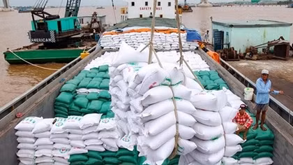 Philippines remains biggest importer of Vietnamese rice