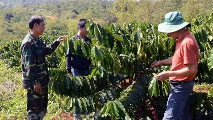 Poverty alleviation undertaken in southern ethnic minority areas