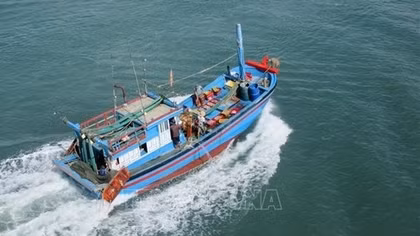 EC acknowledges Vietnam’s efforts in IUU combat: ministry