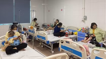Dengue fever cases see sharp rise in Hanoi