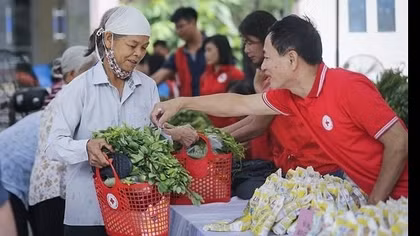 Int'l Red Cross to hold 11th Asia-Pacific Regional Conference in Hanoi