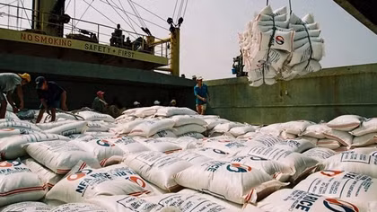 Rice exports maintain growth momentum