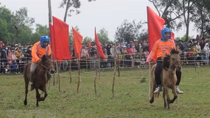 Farmers become horse racers in Phu Yen