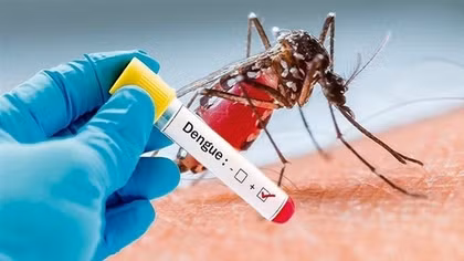 Vietnam to join Japanese dengue fever vaccine trials