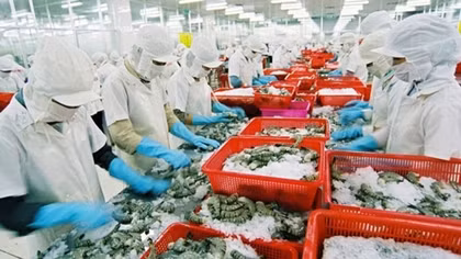 Vietnamese seafood secures firm foothold in Australian market