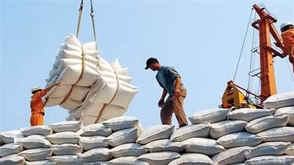 Vietnamese rice enjoys advantages due to rise in export orders and price