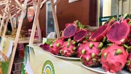 Vietnamese durian and fruit festival opened in China’s Tianjin city