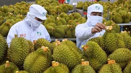Trade with China passes US$120 billion mark in nine months