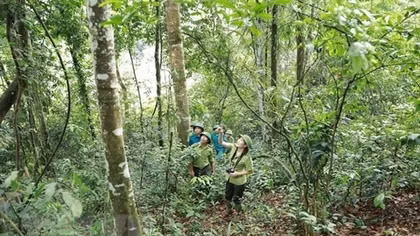Vietnam takes steps towards net zero emissions