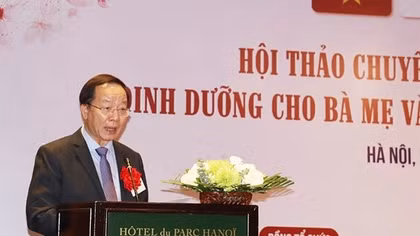 Vietnam - Japan workshop seeks to improve nutrition among mothers, childen