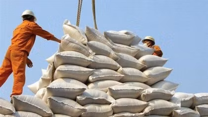 Vietnam’s GDP growth in 2022 reaches a record high over the past ten years